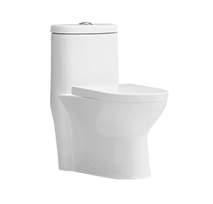 12″ Inch Roghing In One-piece Toilet with Slow Close Seat
